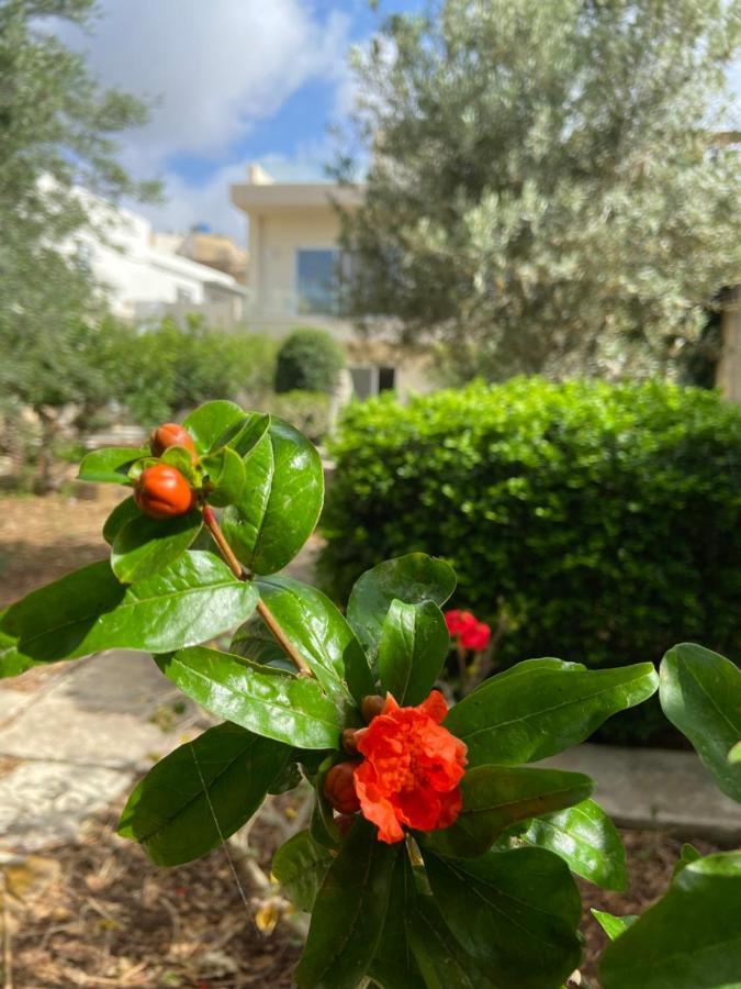 Maltese Garden Villa Моста Экстерьер фото